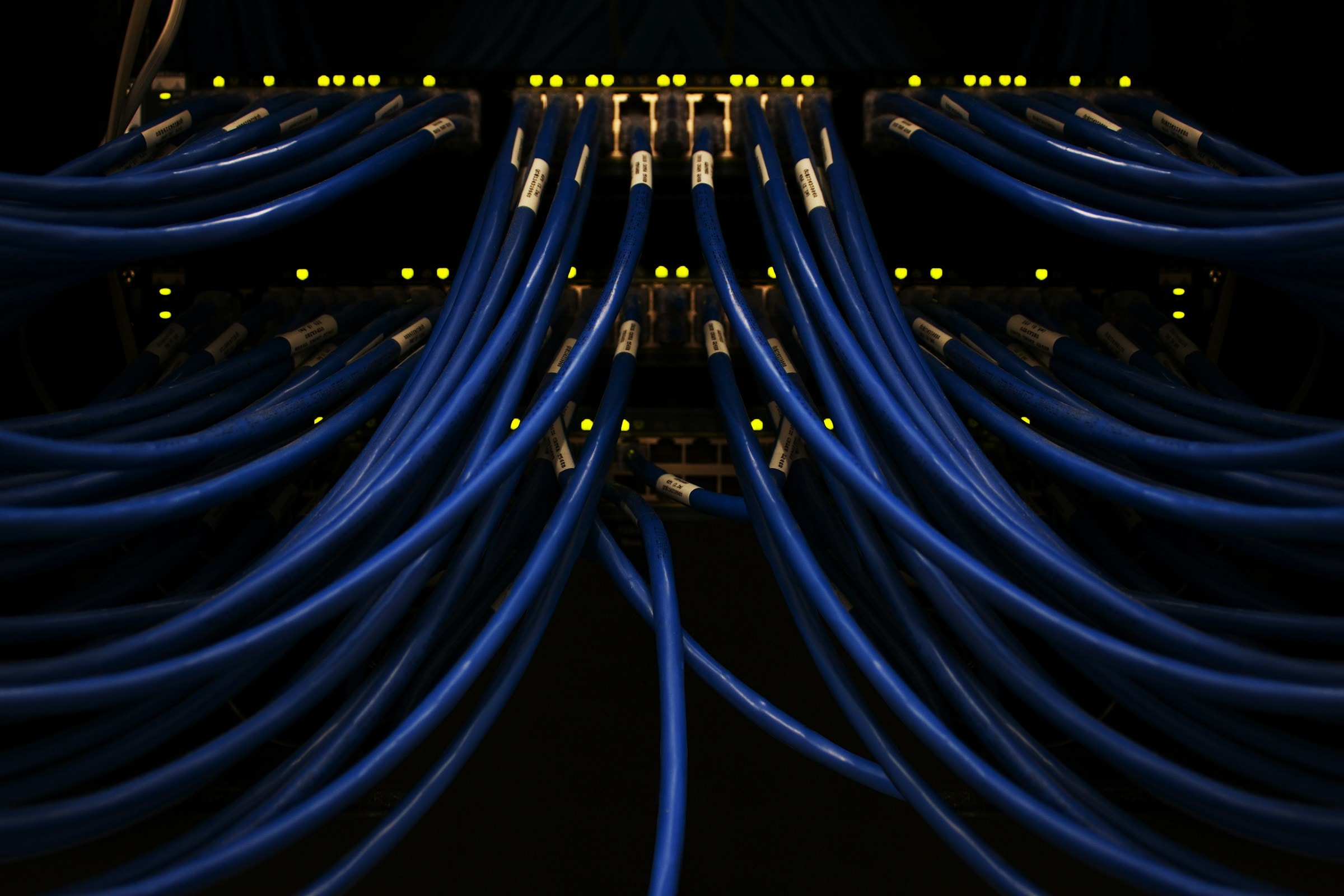 Blaue Netzwerkkabel an einem Serverrack, Inkasso für IT-Dienstleister und Software